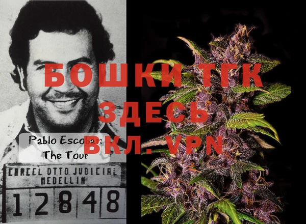 сатива Алексин