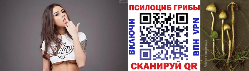 как найти закладки Чебоксары Галлюциногенные грибы мицелий